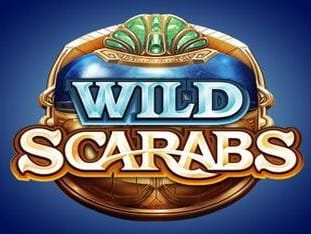 Wild Scarabs game icon